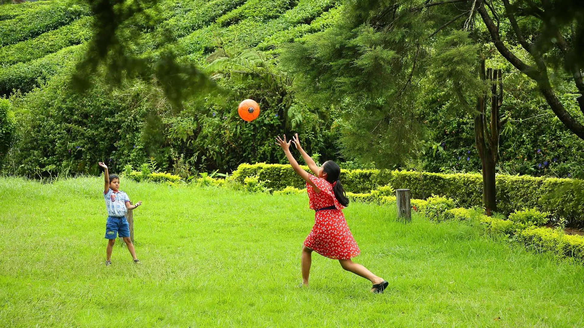 ***  Hotel C7 Munnar India