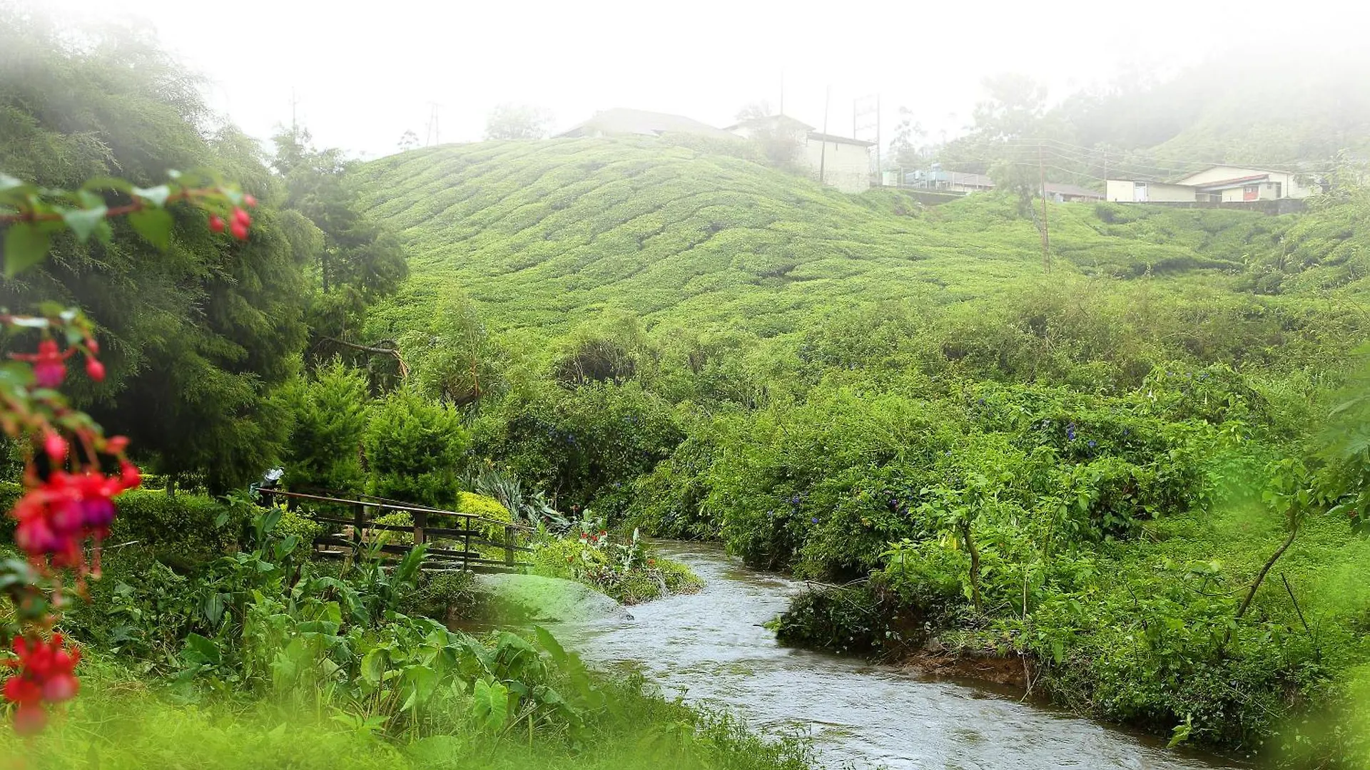 Hotel C7 Munnar