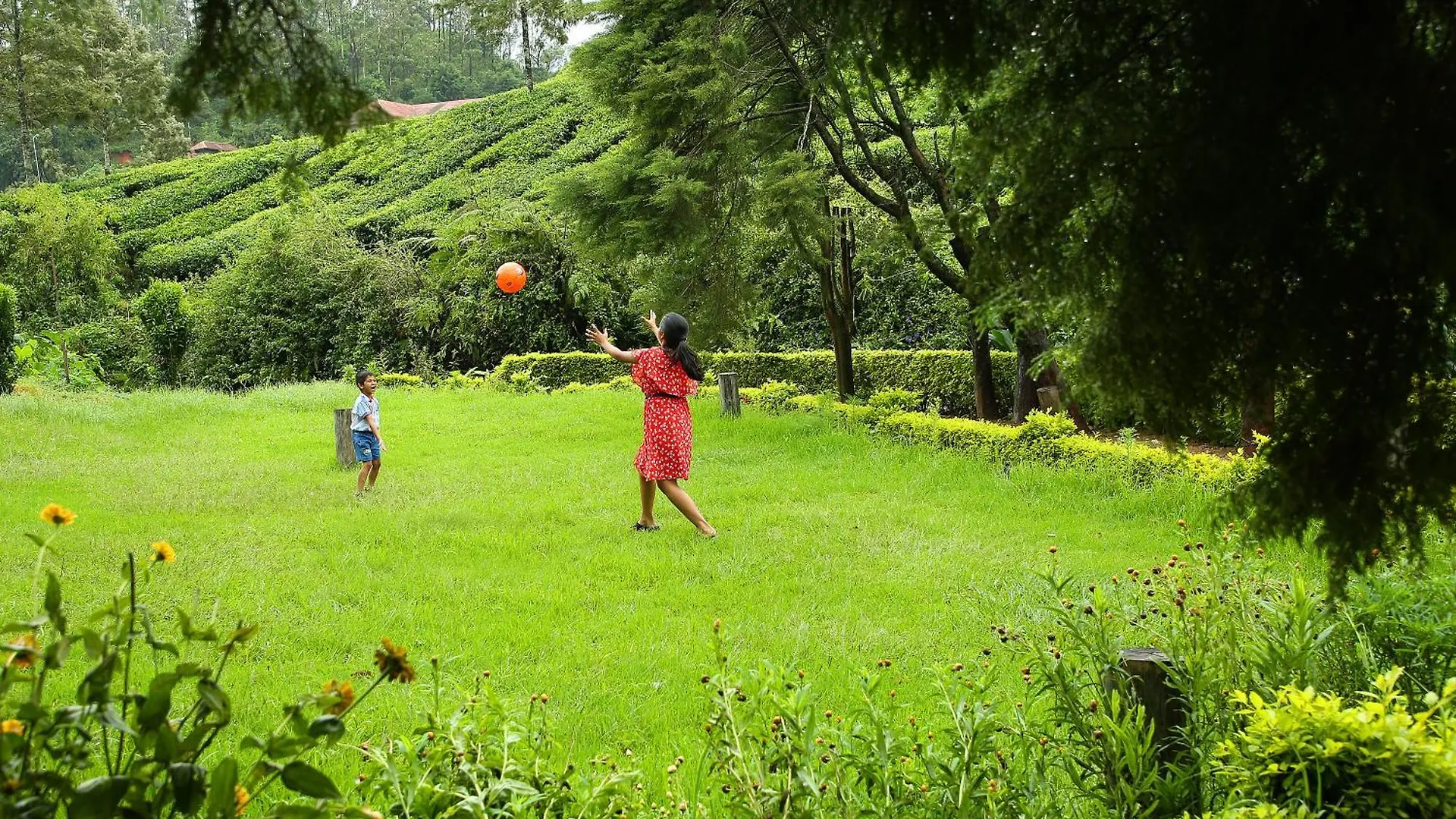Hotel C7 Munnar